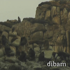 Oculto entre las rocas