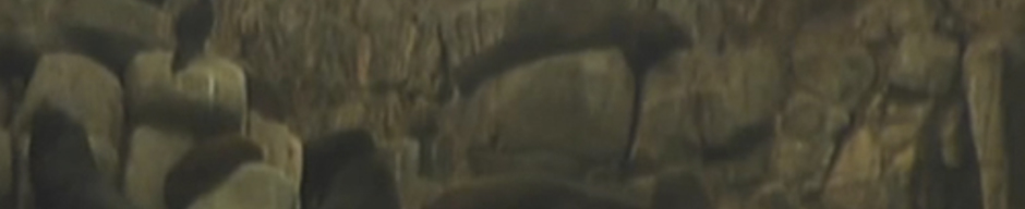 Oculto entre las rocas