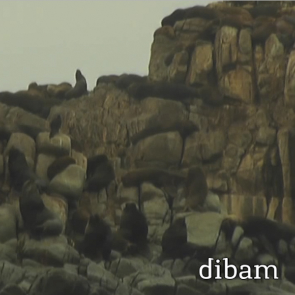 Oculto entre las rocas