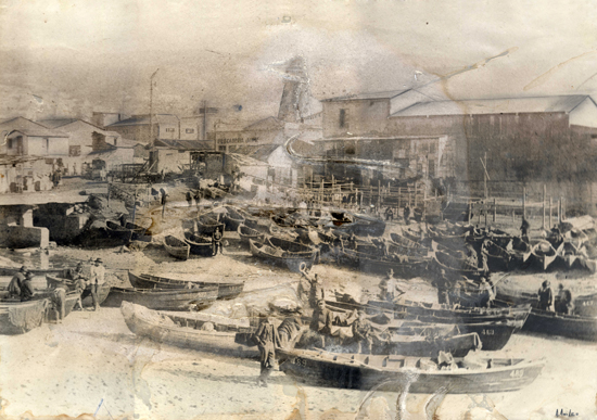 Caleta Jaime de Valparaíso. Año 1900. Donado por Eduardo Quiroz. Caleta Jaime de Valparaíso. Año 1900. Donado por Eduardo Quiroz.