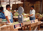 Trabajo en el packing. Villa El Palqui, Monte Patria. Año 1987. Donada por Juana Campusano Miranda.