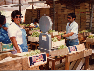 Trabajo en el packing. Villa El Palqui, Monte Patria. Año 1987. Donada por Juana Campusano Miranda.