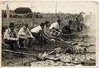 Asado al palo Asado al palo