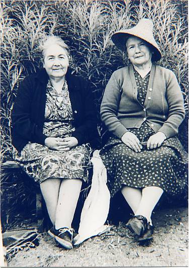 Amigas Amigas