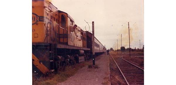 Paso del tren por Frutillar