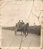 Paseo a caballo Paseo a caballo
