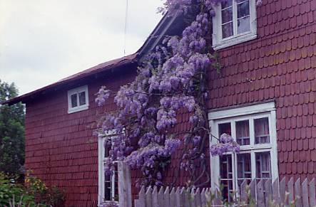 Casa de la familia Höenicke Klein Casa de la familia Höenicke Klein