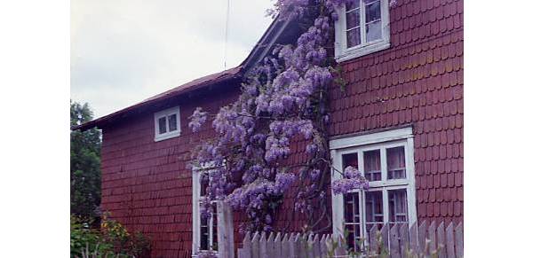 Casa de la familia Höenicke Klein Casa de la familia Höenicke Klein