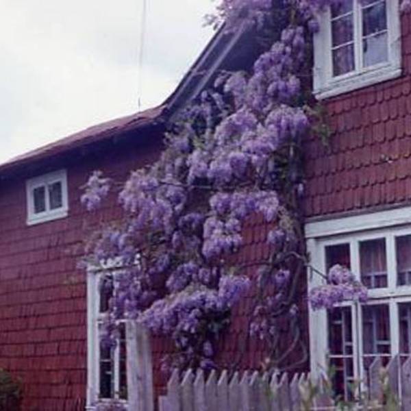 Casa de la familia Höenicke Klein