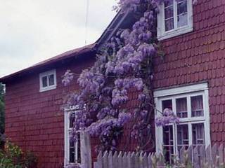 Casa de la familia Höenicke Klein