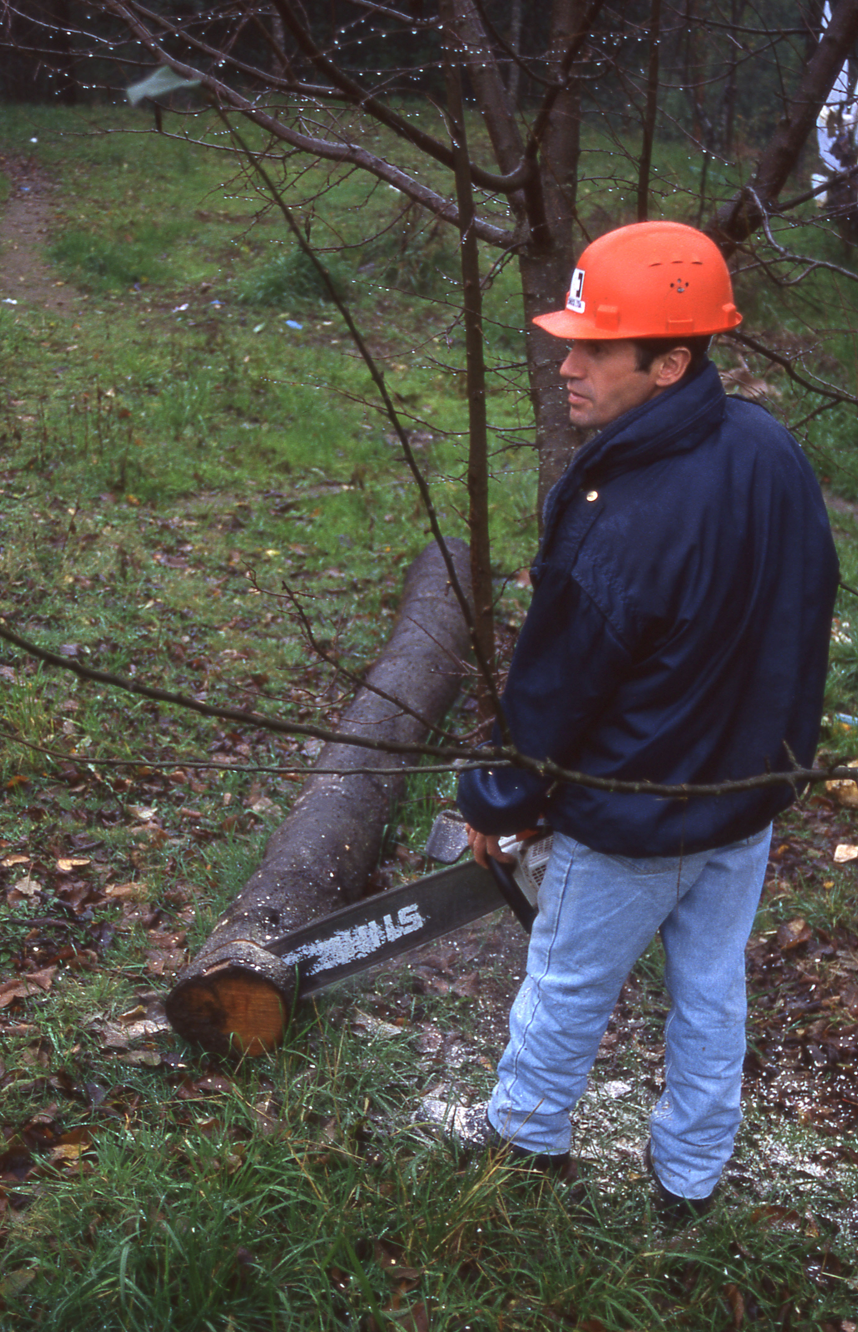 Obrero forestal