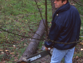 Obrero forestal