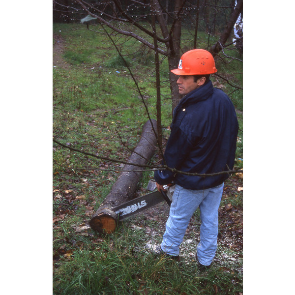 Obrero forestal