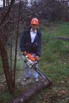 Trabajador forestal