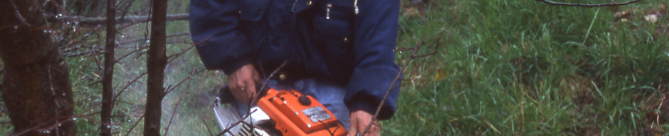 Trabajador forestal