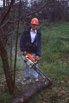Trabajador forestal