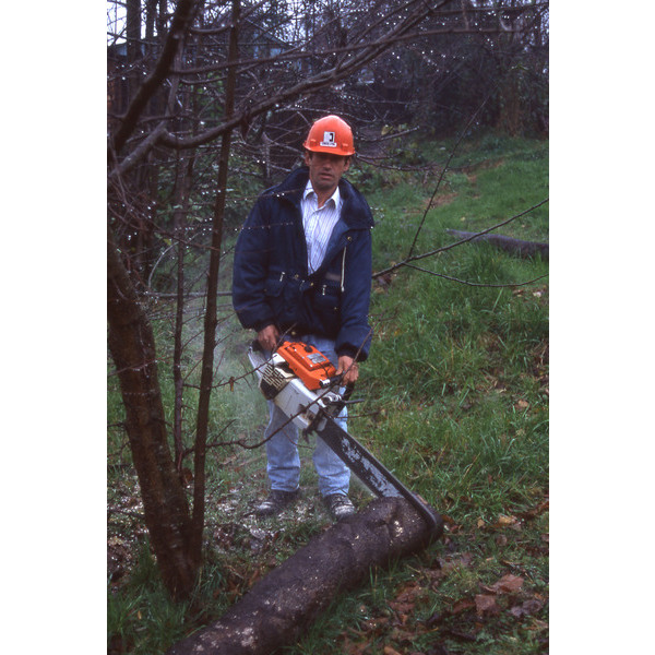 Trabajador forestal