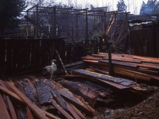 Patio de una casa Patio de una casa