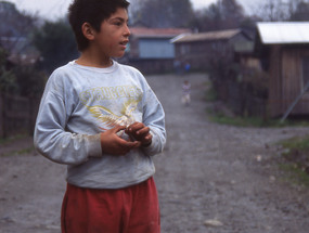 Niño de la población Lolquellén