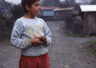 Niño de la población Lolquellén