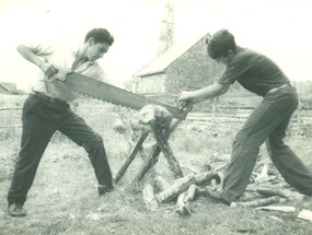 Cortando leña Cortando leña