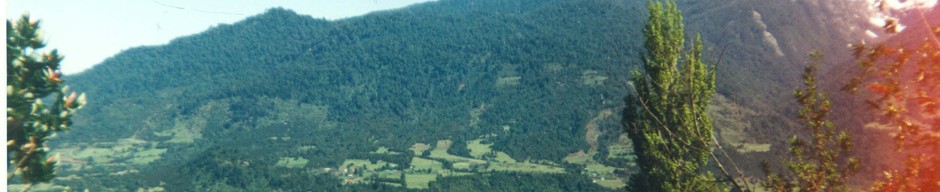 Río Cochamó Río Cochamó
