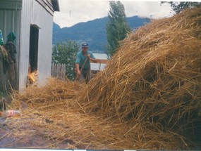 Trilla de avena