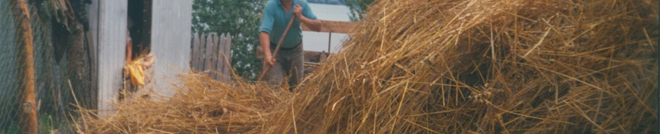 Trilla de avena