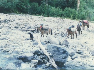 Pilcheros atraviesan el río Piedra