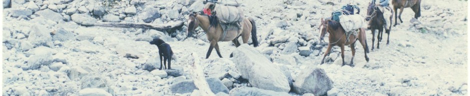 Pilcheros atraviesan el río Piedra