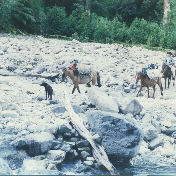 Pilcheros atraviesan el río Piedra