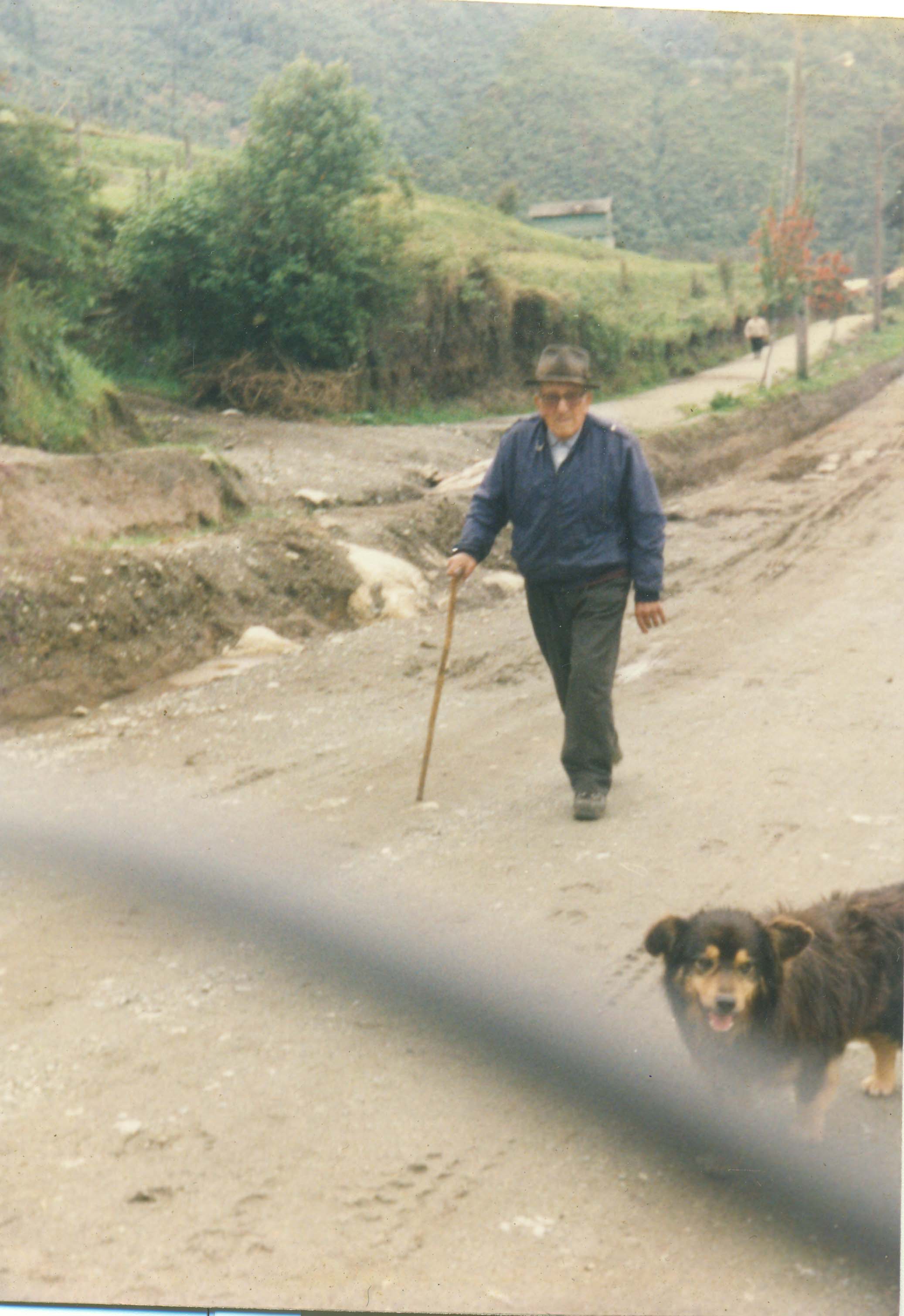 Camino al campo "La Marina"