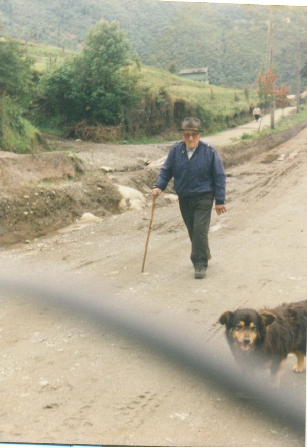 Camino al campo "La Marina" Camino al campo "La Marina"
