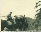 Censo del año 1952 Censo del año 1952