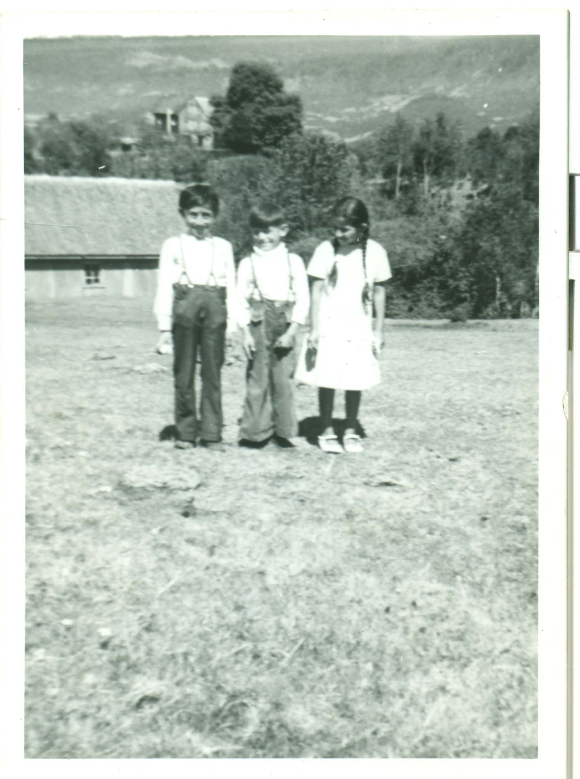 Hermanos Contreras Gallardo Hermanos Contreras Gallardo