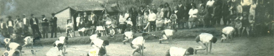 Revista de gimnasia Revista de gimnasia
