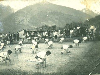 Revista de gimnasia Revista de gimnasia