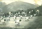 Revista de gimnasia Revista de gimnasia