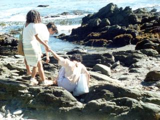 Playa Los Enamorados de Valdivia