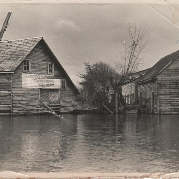 Inundación de Los Lagos