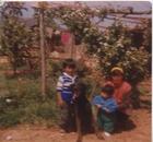 Familia Alcayaga Santander Familia Alcayaga Santander