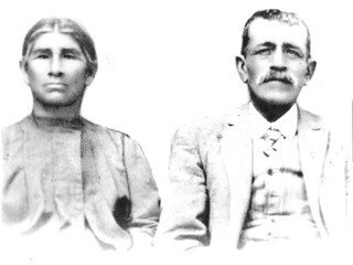 Pareja de Vicuña