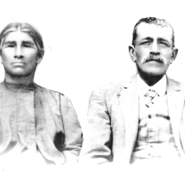 Pareja de Vicuña