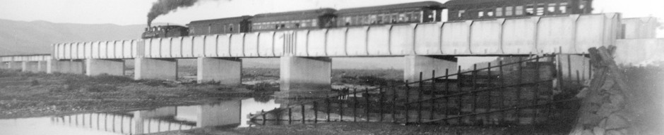 Tren elquino Tren elquino