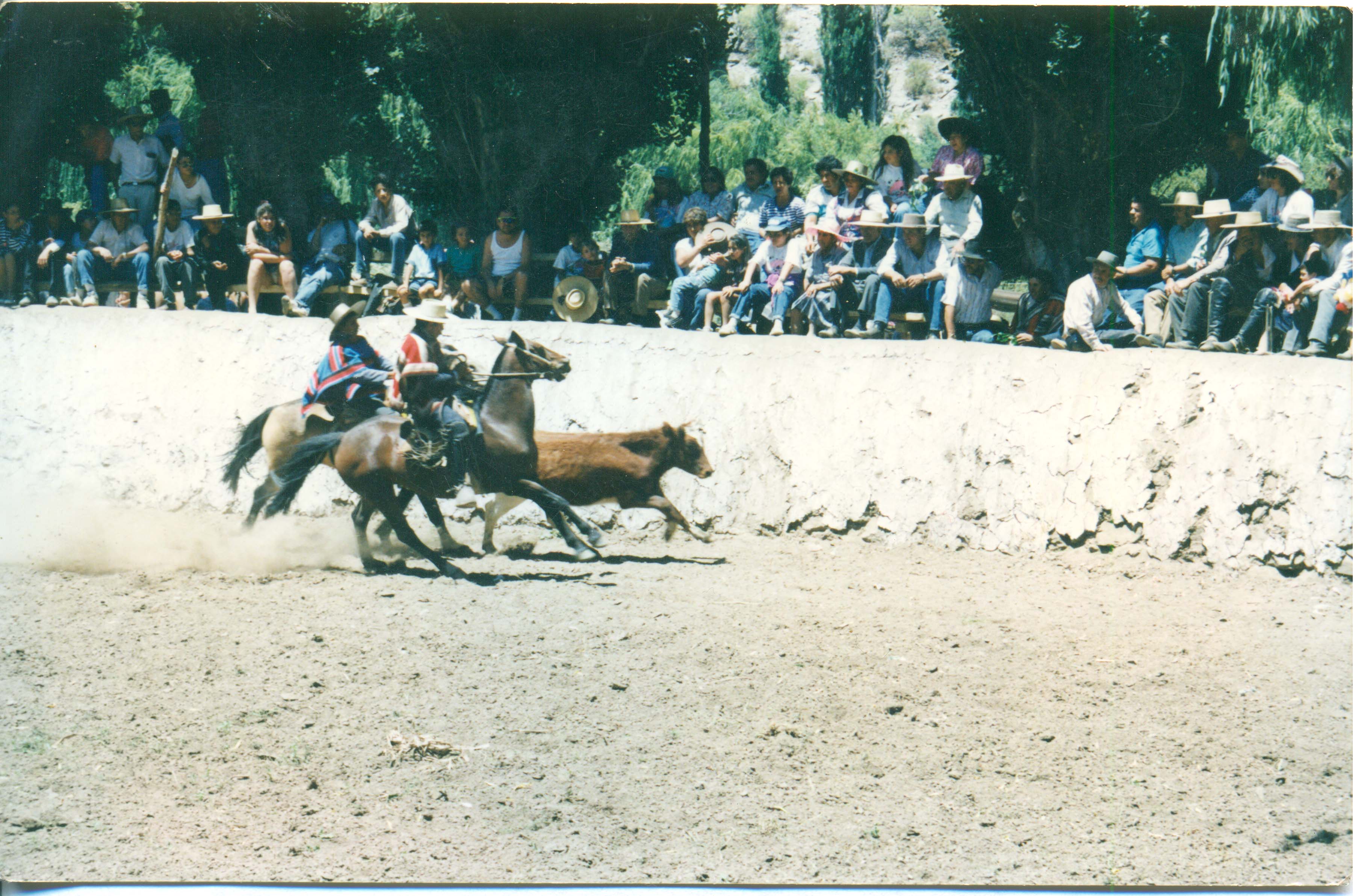 Rodeo en media luna de Tulahuén