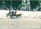 Rodeo en media luna de Tulahuén