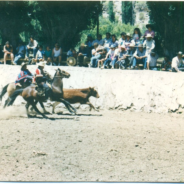 Rodeo en media luna de Tulahuén Rodeo en media luna de Tulahuén