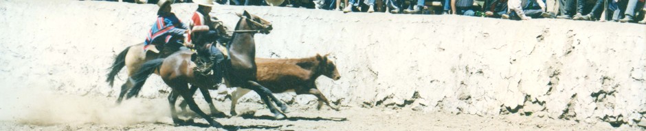 Rodeo en media luna de Tulahuén