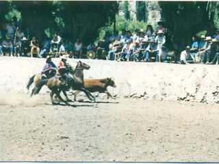Rodeo en media luna de Tulahuén Rodeo en media luna de Tulahuén