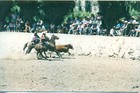 Rodeo en media luna de Tulahuén Rodeo en media luna de Tulahuén